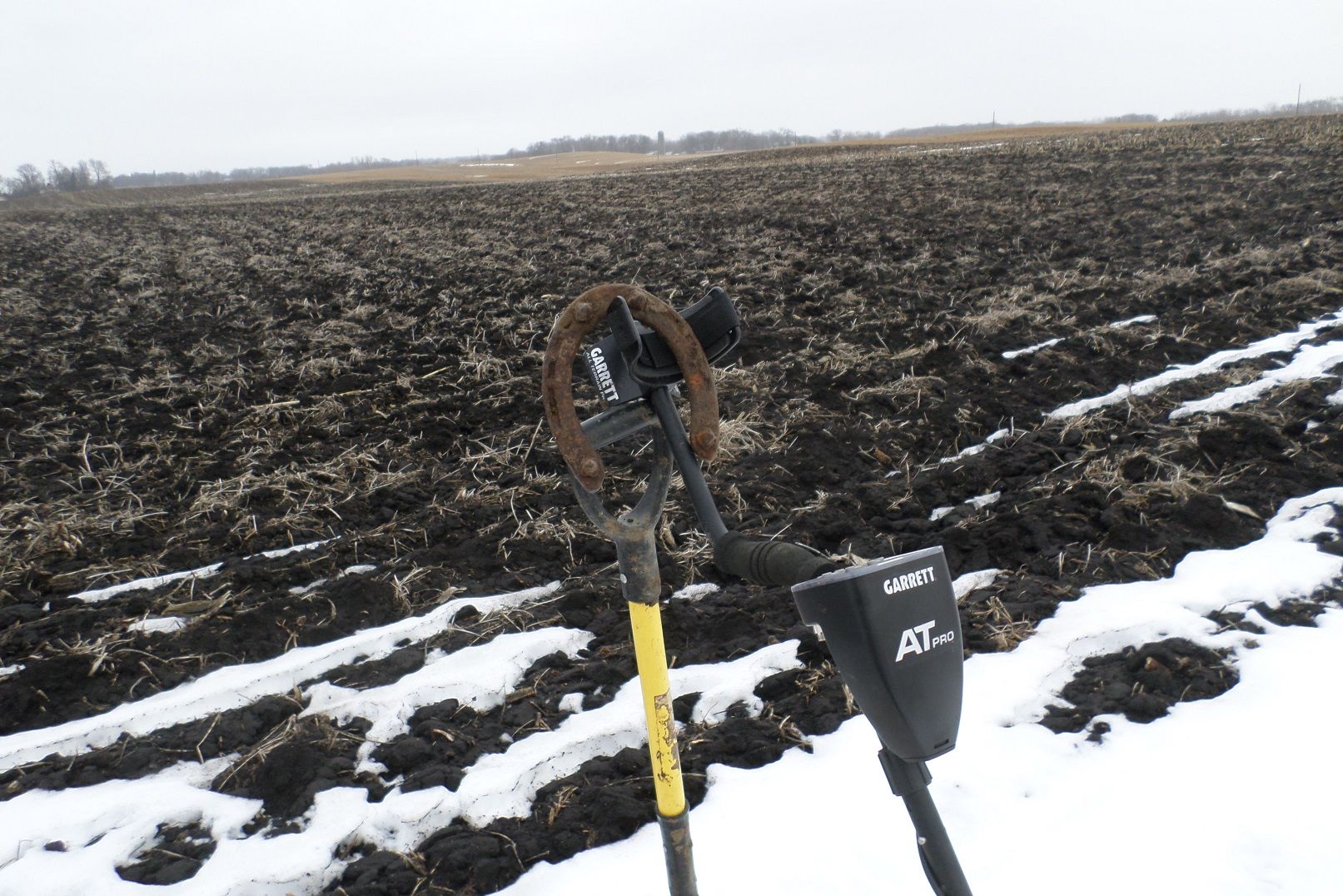 Studded Horse Shoe used on ice and in heavy snow