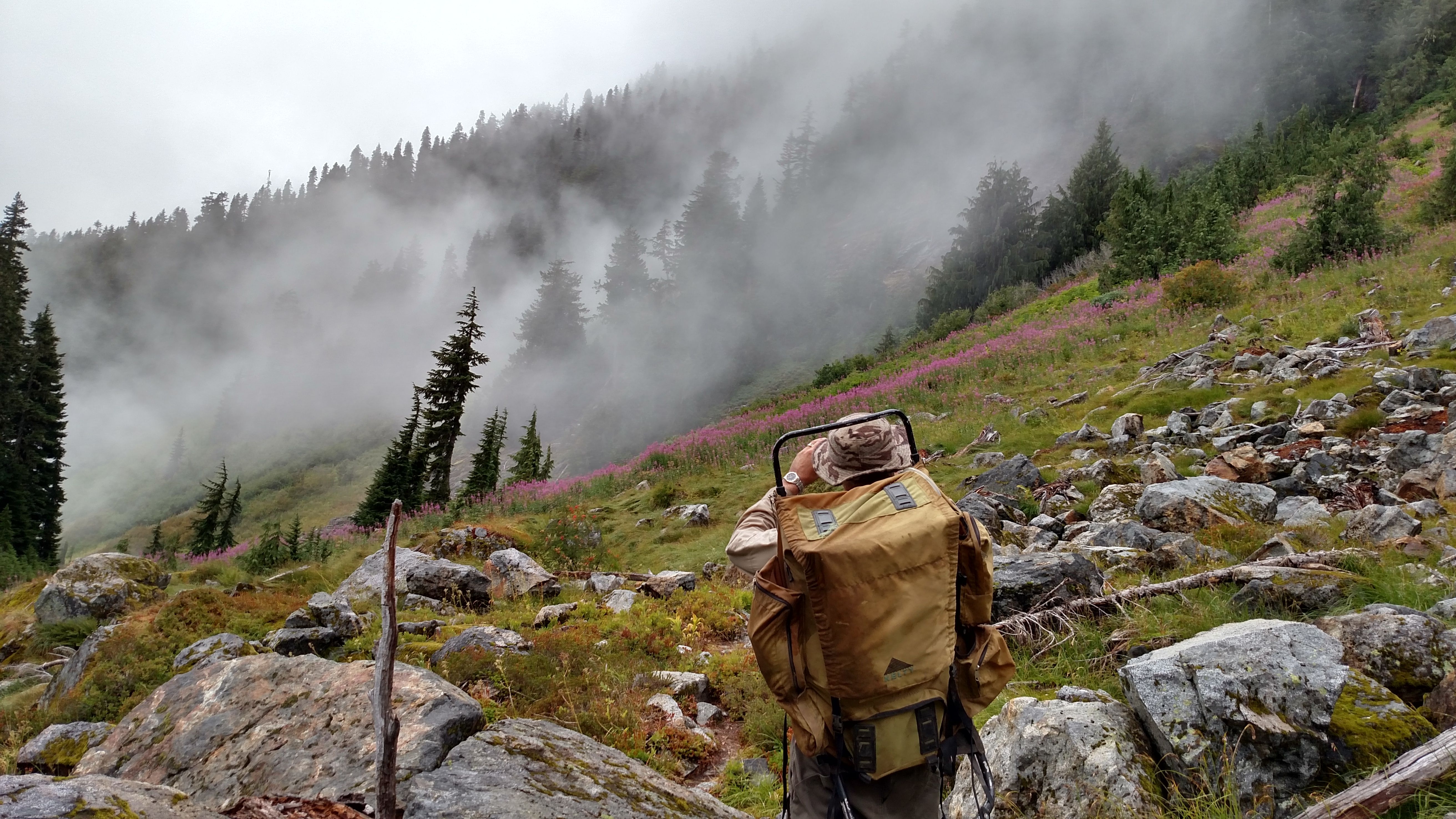 Tenas Creek area about 4800ft elevation.