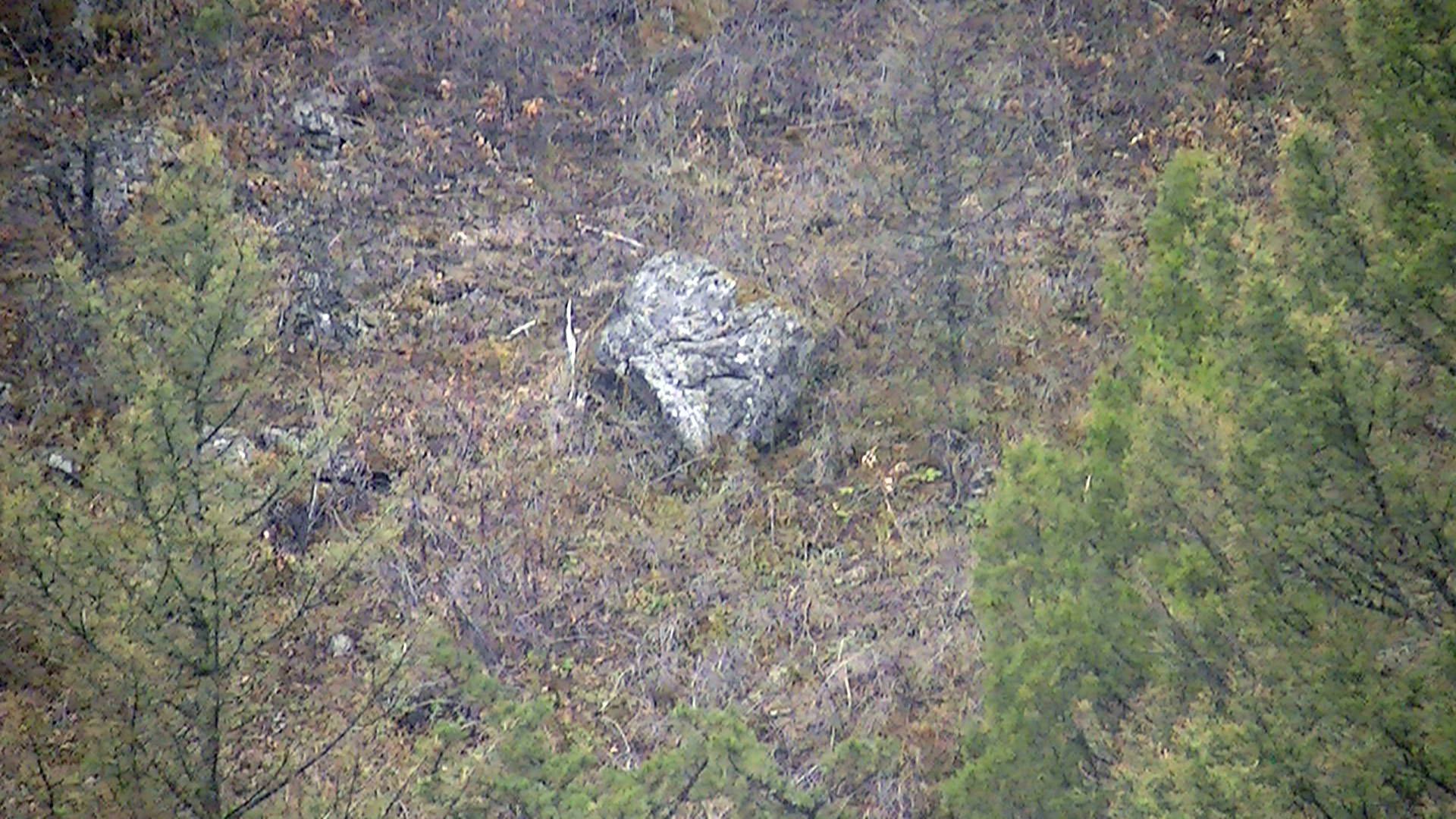 The Lucky Gator Mine's name sake.