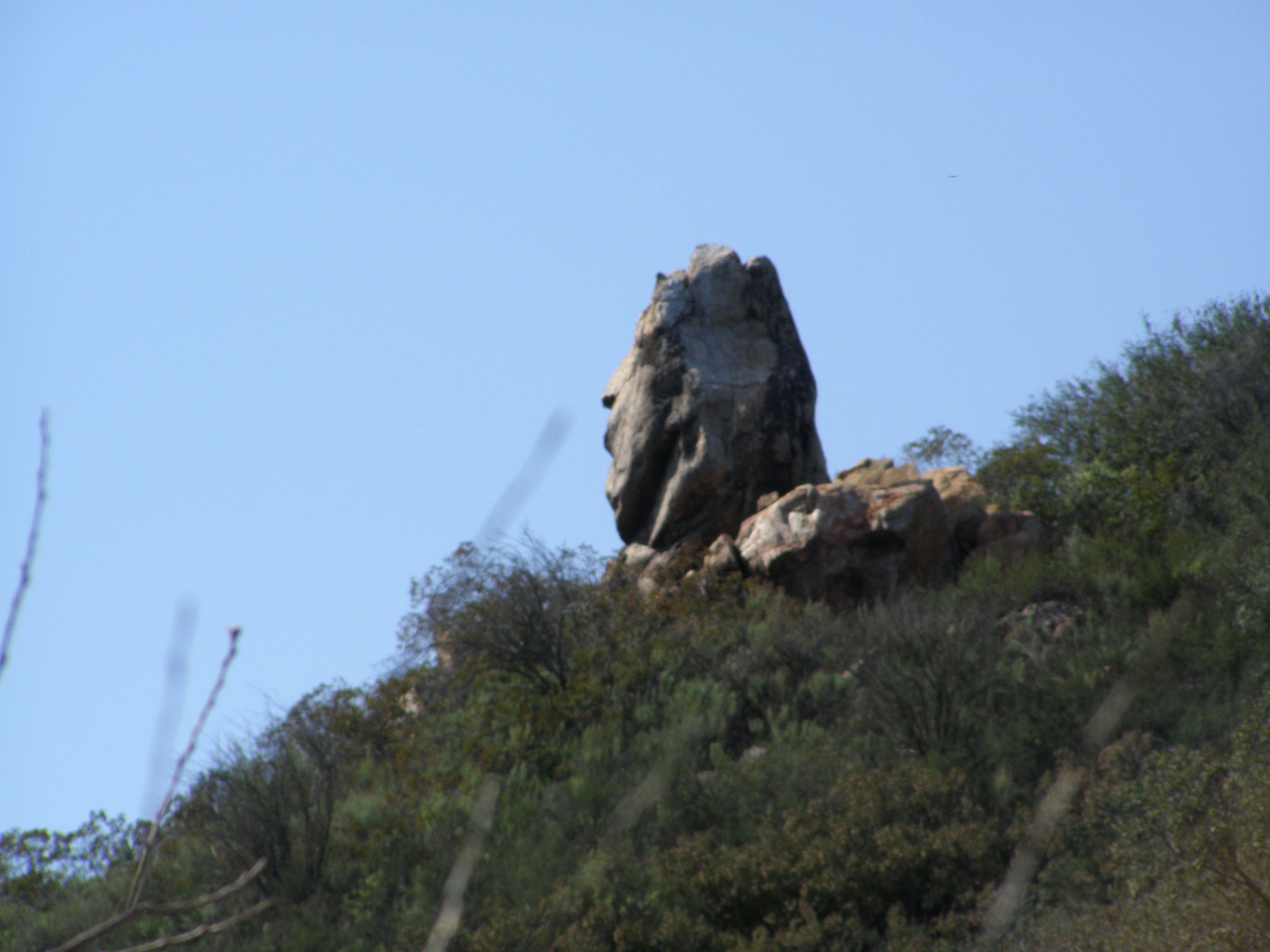 This stone is in the city of Escondido, at Daley Ranch.  A natural boulder, it has a human profile from a certain angle.