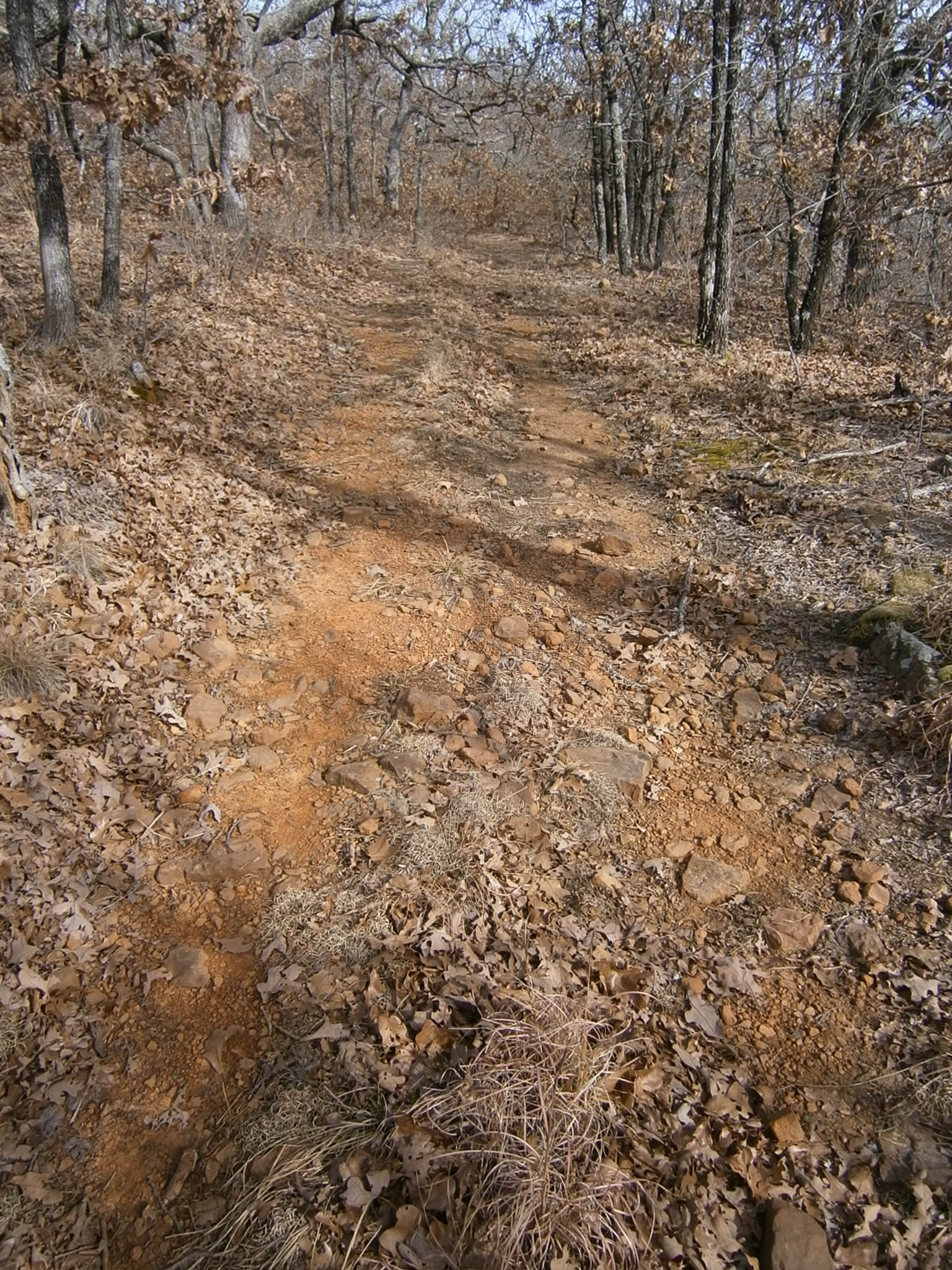 trail