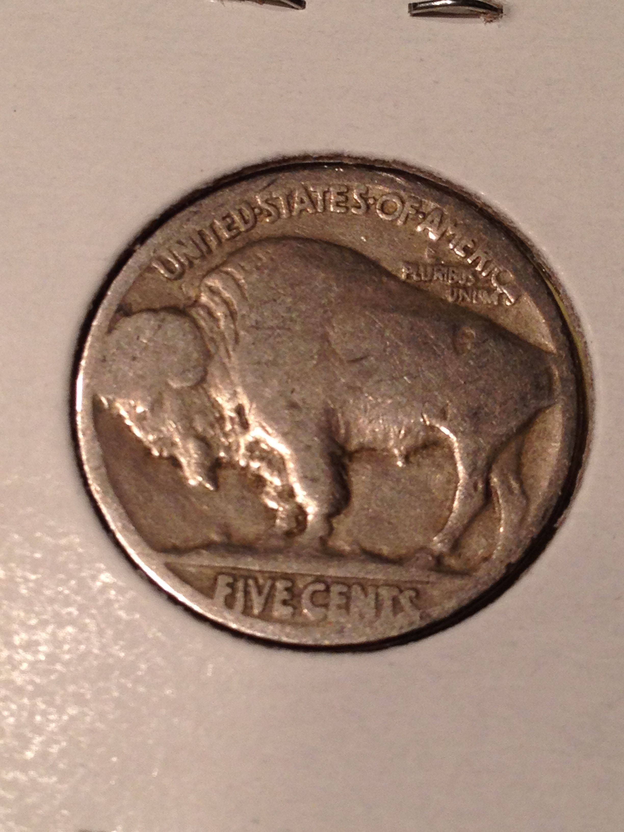 Unknown Date Buffalo 1 - Back