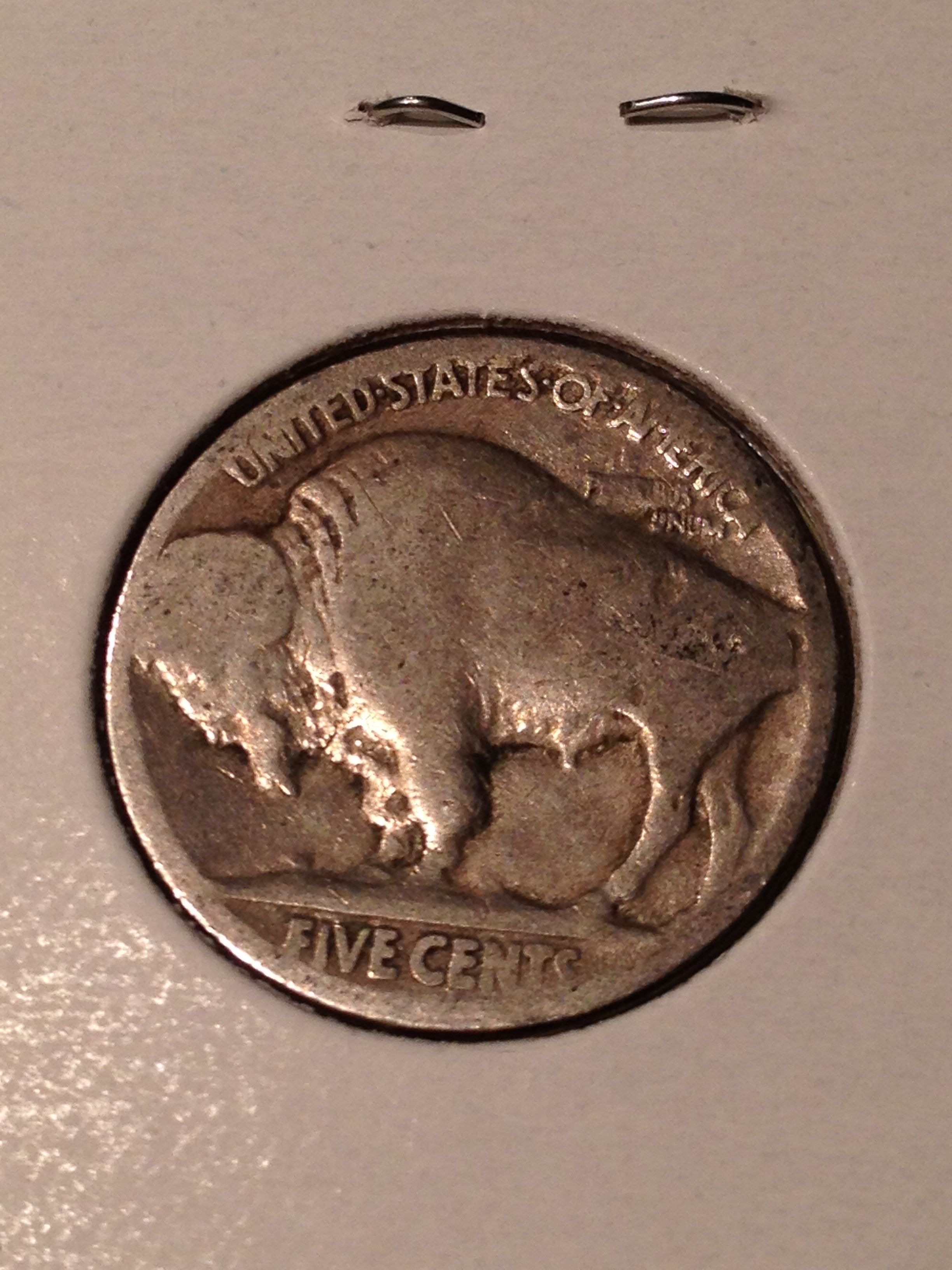 Unknown Date Buffalo 2 - Back