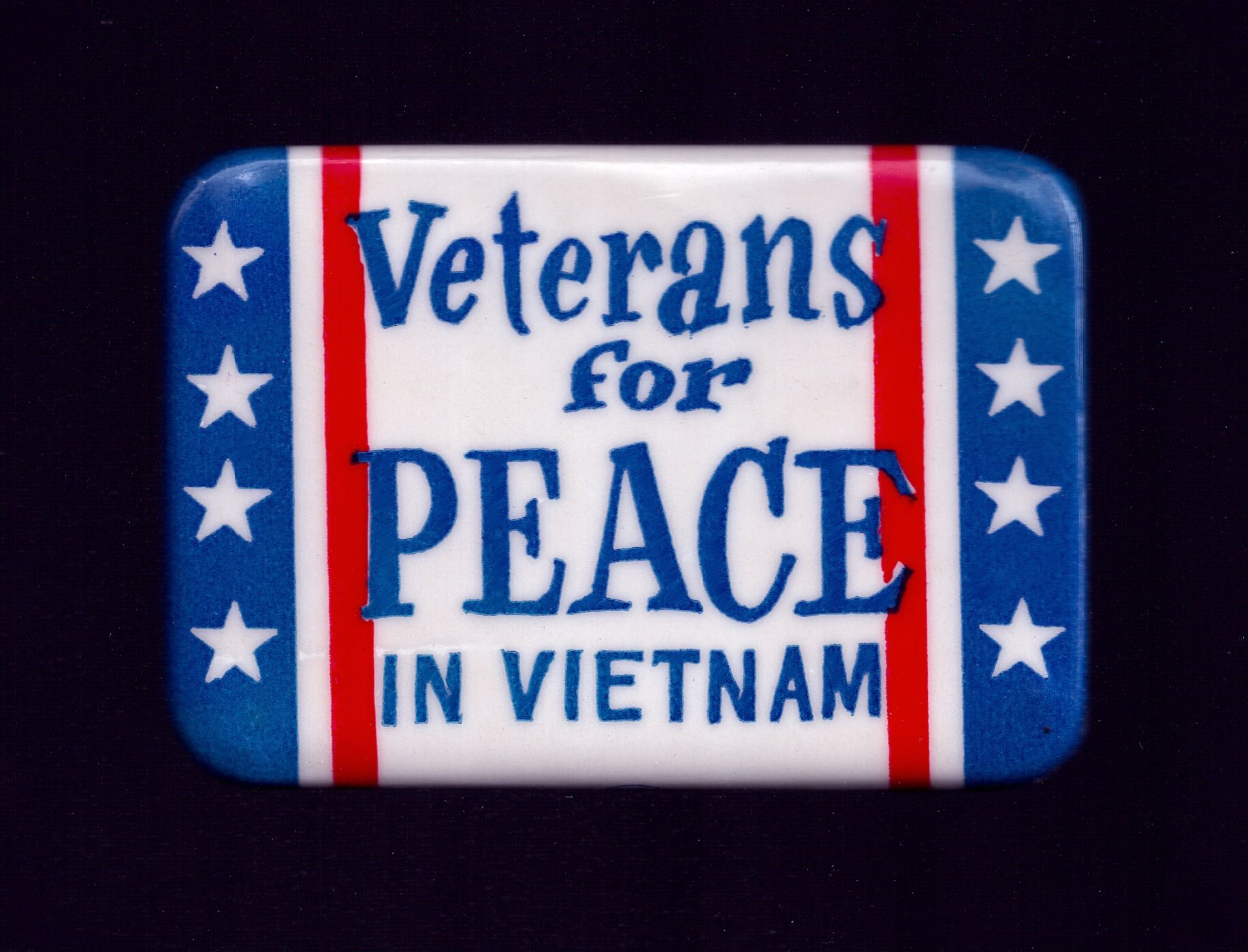 Veterans for PEACE IN VIETNAM