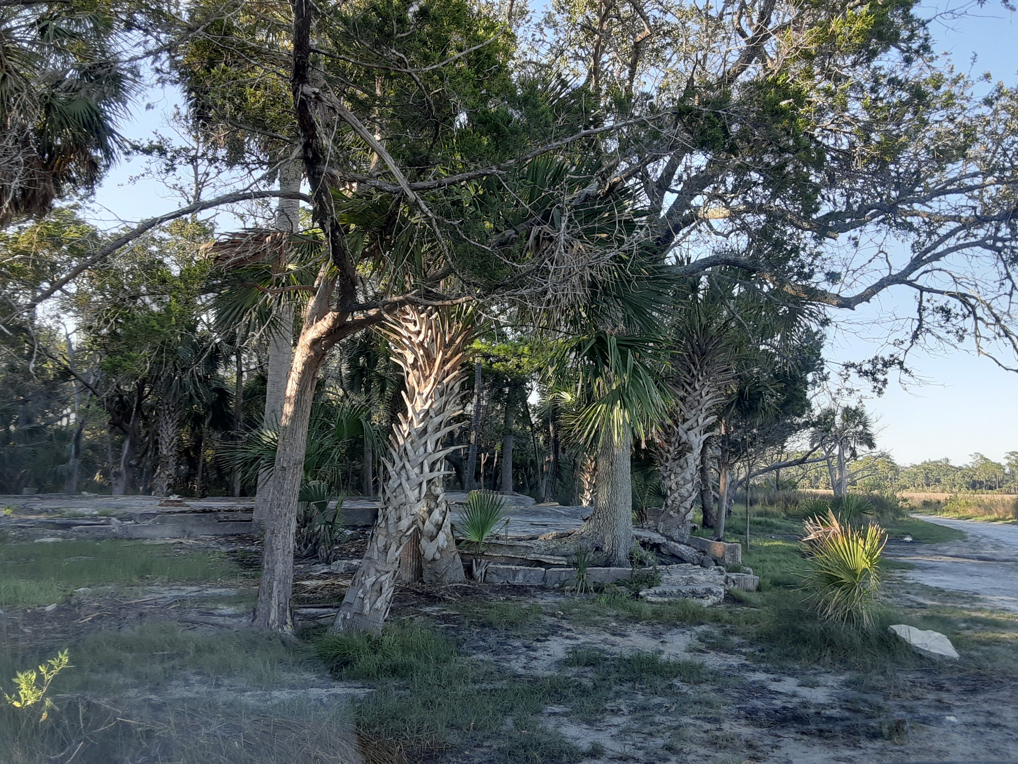 wakulla beach