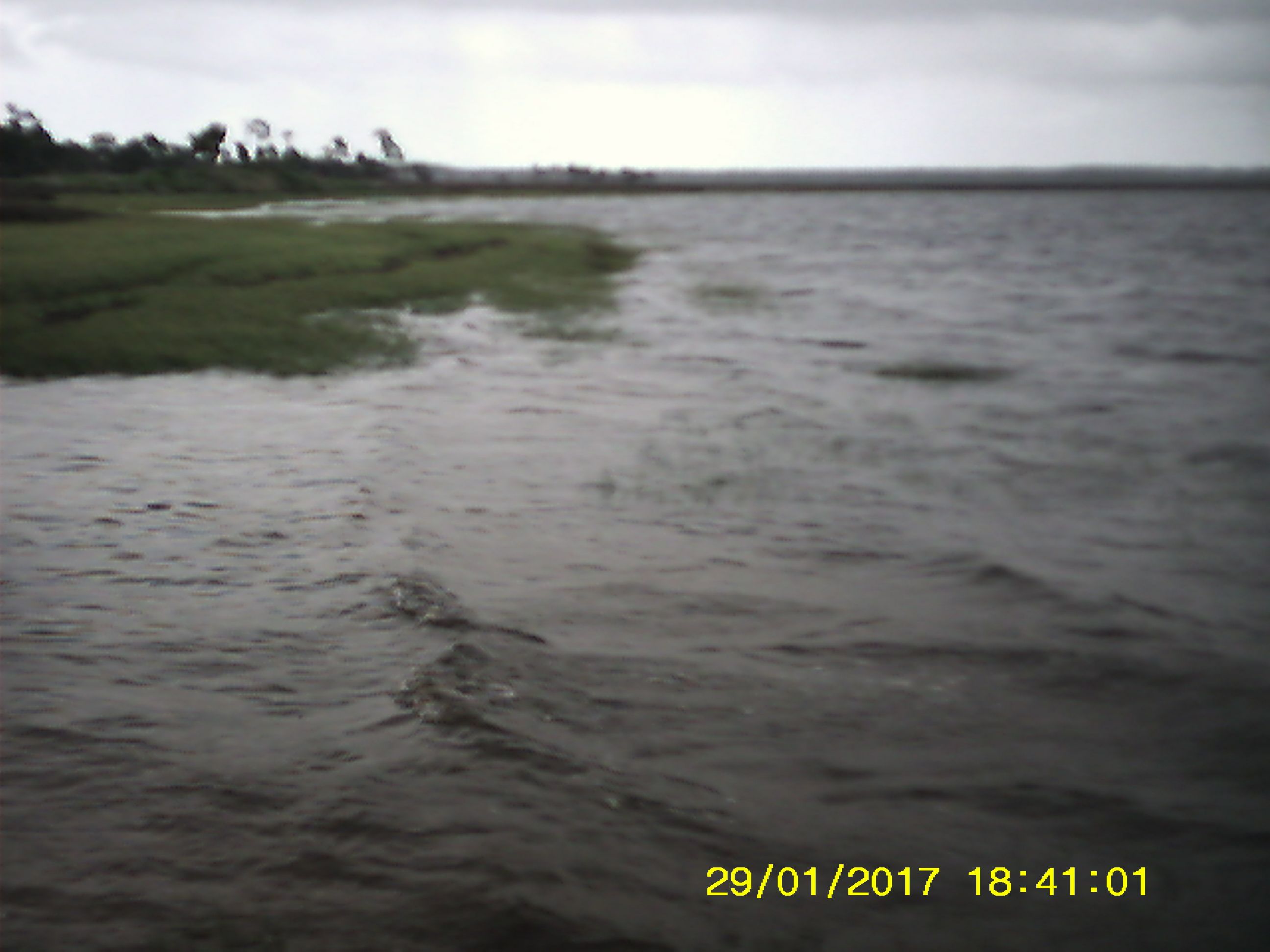 wakulla beach