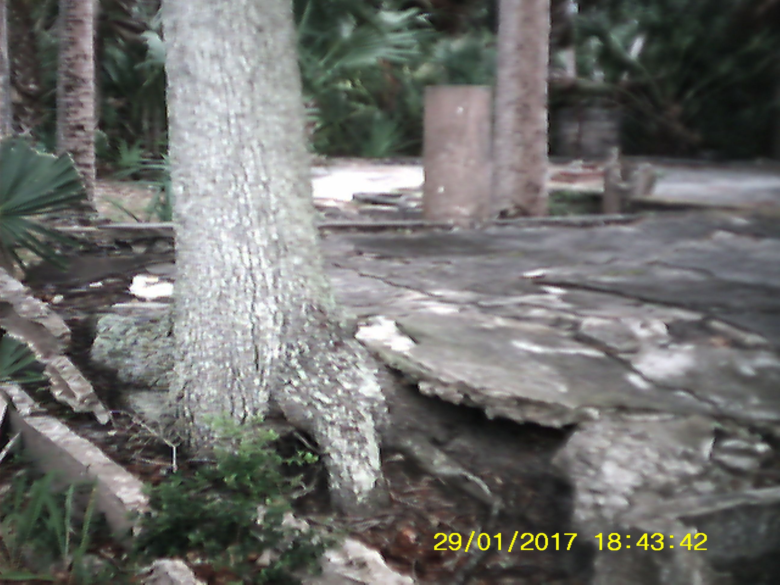 wakulla beach