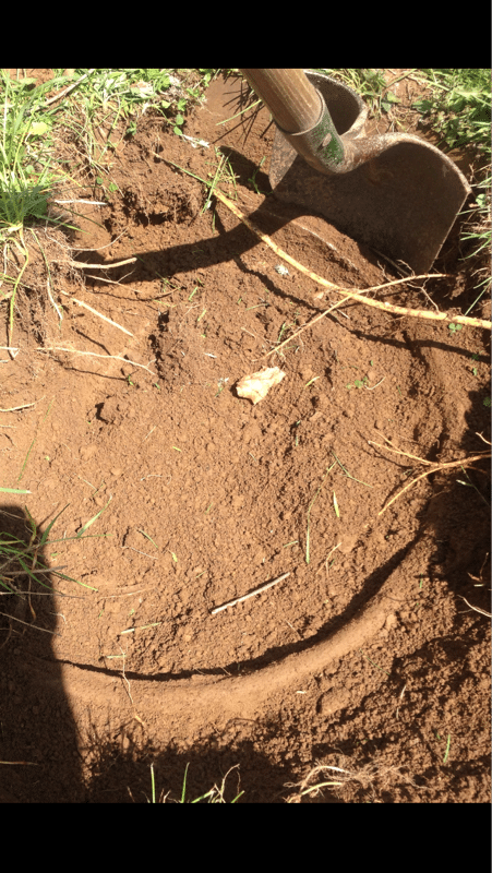 We think it's an old concrete bird bath with rebar.