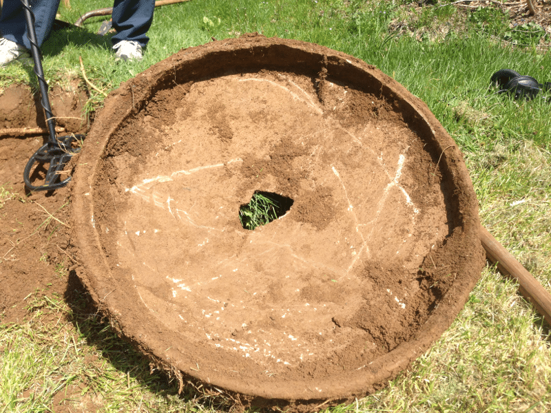 We think it's an old concrete bird bath with rebar.