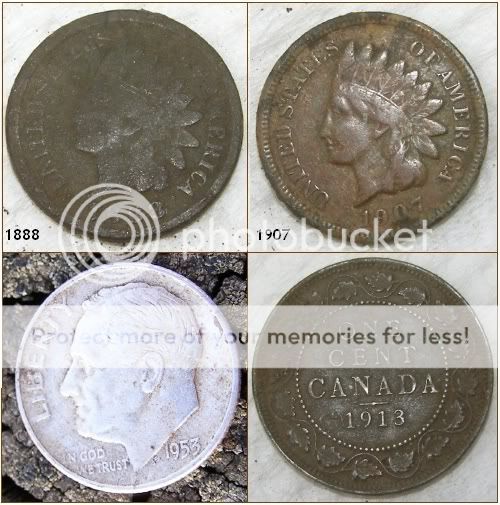 coins2-2.jpg