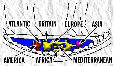 coinmapcolor.jpg