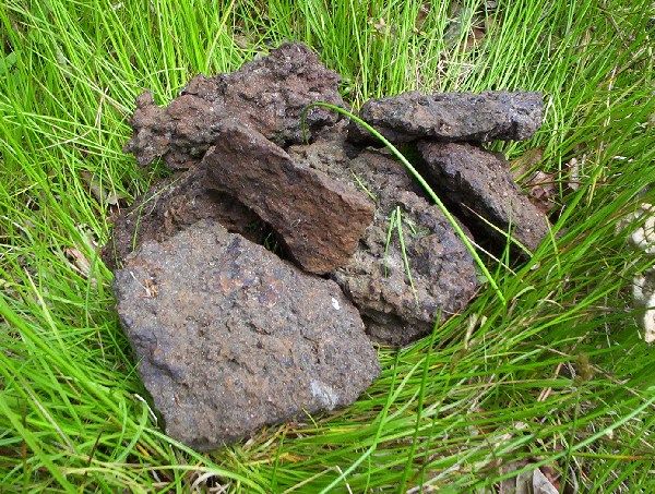 Limonite_bog_iron_cm01.jpg