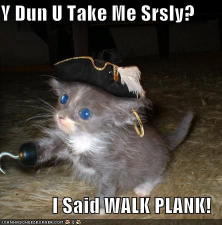 Funny+Cat+Pics+%2528102%2529.jpg