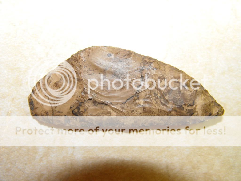 2009_0610arrowheads0013.jpg