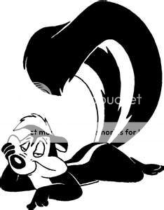 Skunked3.jpg