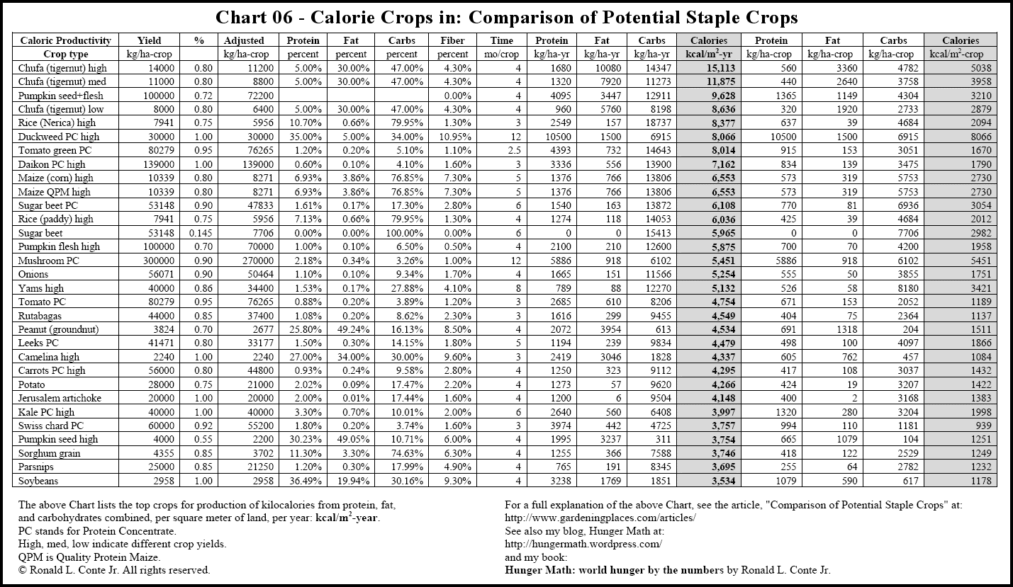 chart-06-calories.png